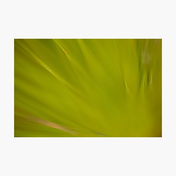Item preview, Greeny  designed and sold by Nina  Matthews Photography.
