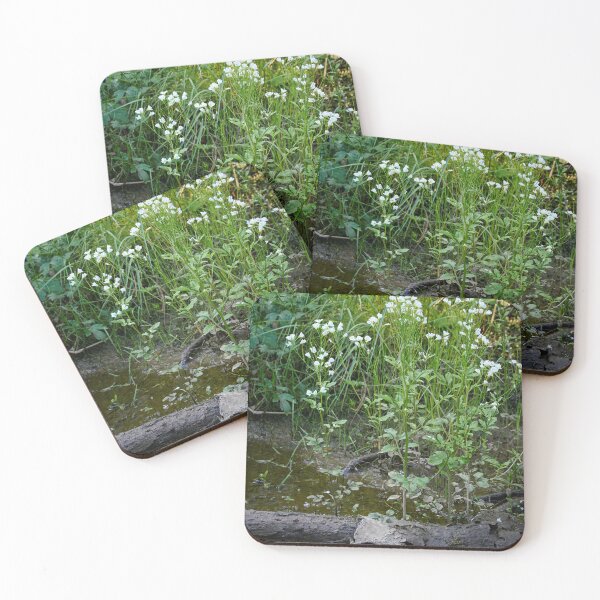 Item preview, Muddy perspective. Large Bittercress designed and sold by Jouko Lehto Photography.