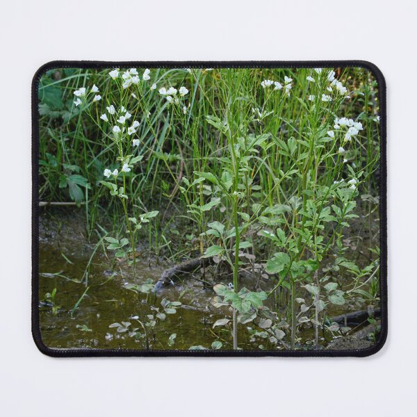 Item preview, Muddy perspective. Large Bittercress designed and sold by Jouko Lehto Photography.
