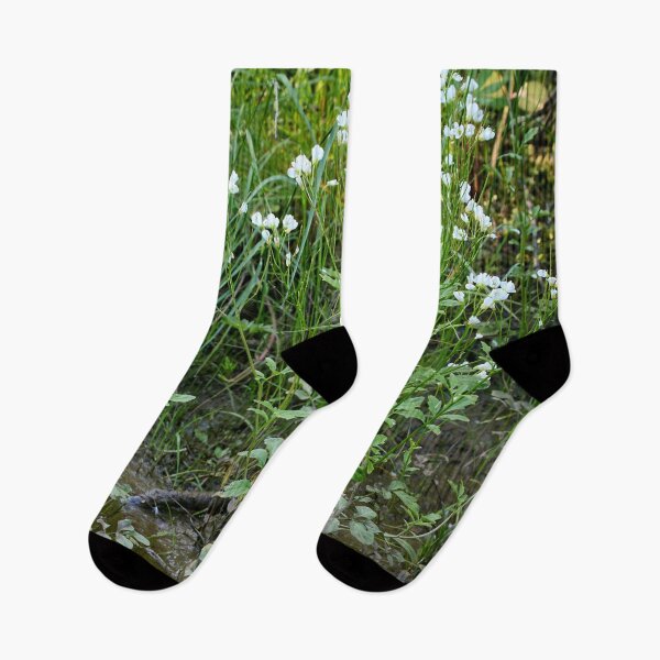 Item preview, Muddy perspective. Large Bittercress designed and sold by Jouko Lehto Photography.