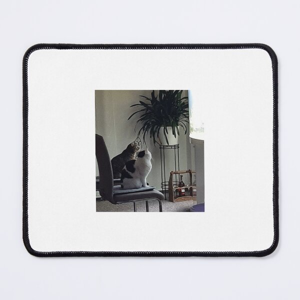 Item preview, Cat flicker box aquarium designed and sold by MiauCatWork.