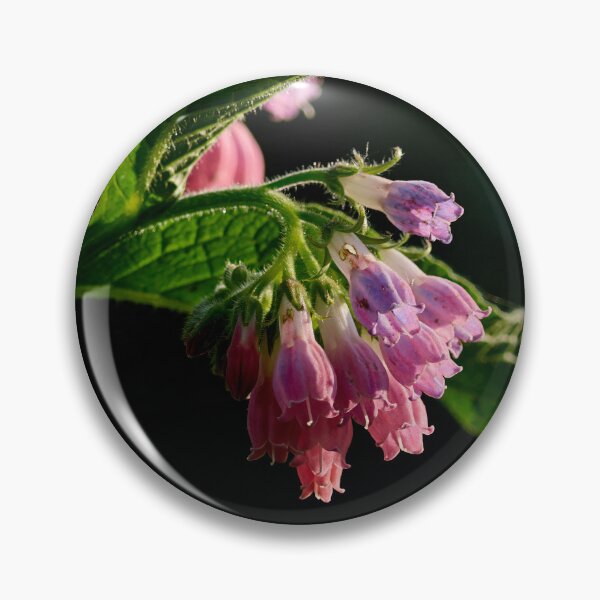 Item preview, The Pink one. Comfrey designed and sold by Jouko Lehto Photography.