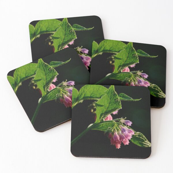Item preview, The Pink one. Comfrey designed and sold by Jouko Lehto Photography.