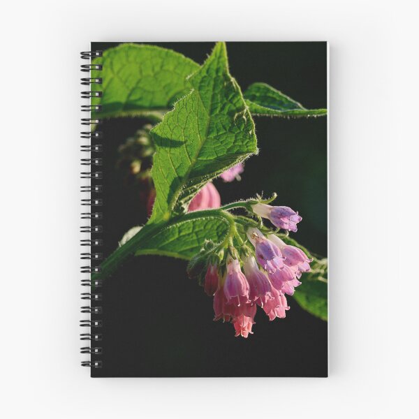 Item preview, The Pink one. Comfrey designed and sold by Jouko Lehto Photography.
