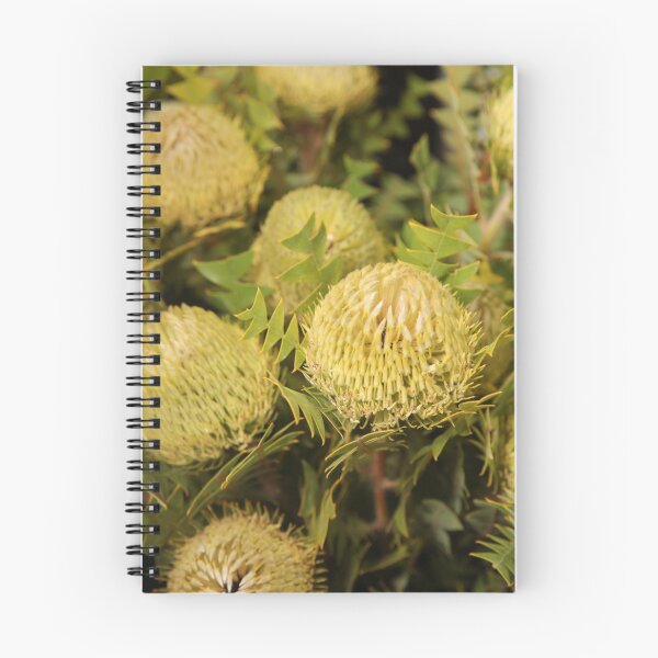 Item preview, Sunny flowers  designed and sold by Nina  Matthews Photography.