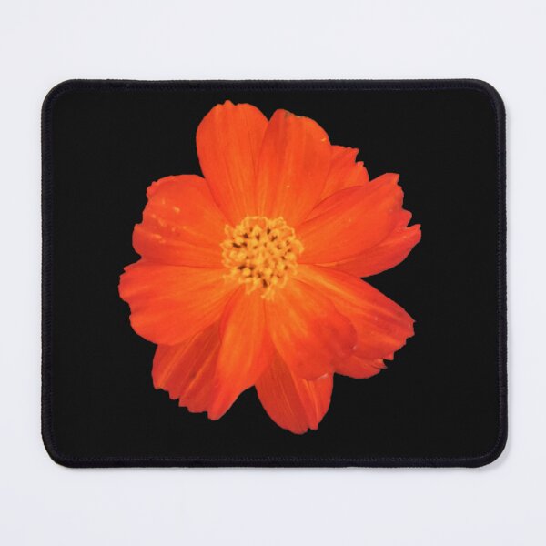 Item preview, Orange Cosmos designed and sold by ascherf.
