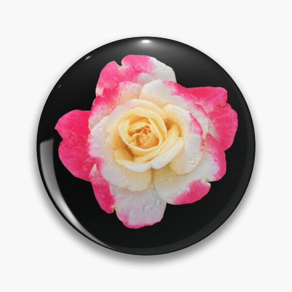 Item preview, Tea Rose Pink and White designed and sold by ascherf.