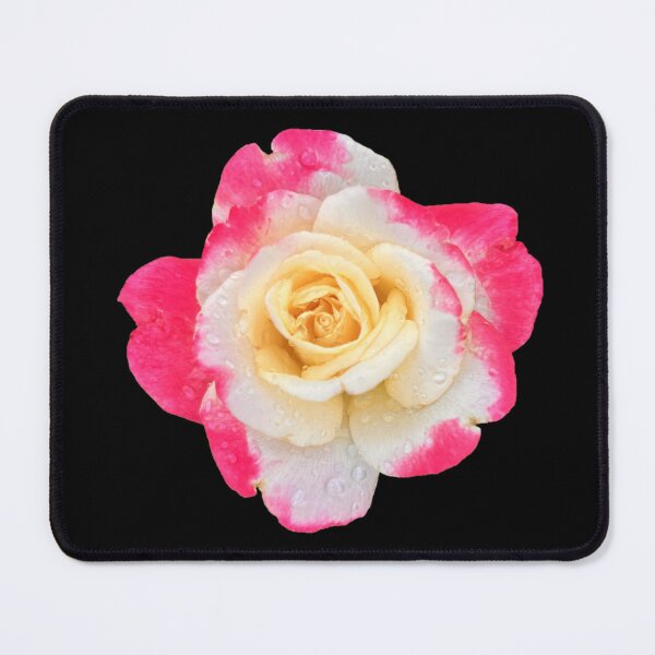 Item preview, Tea Rose Pink and White designed and sold by ascherf.