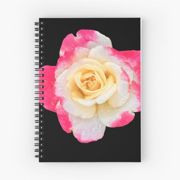 Item preview, Tea Rose Pink and White designed and sold by ascherf.
