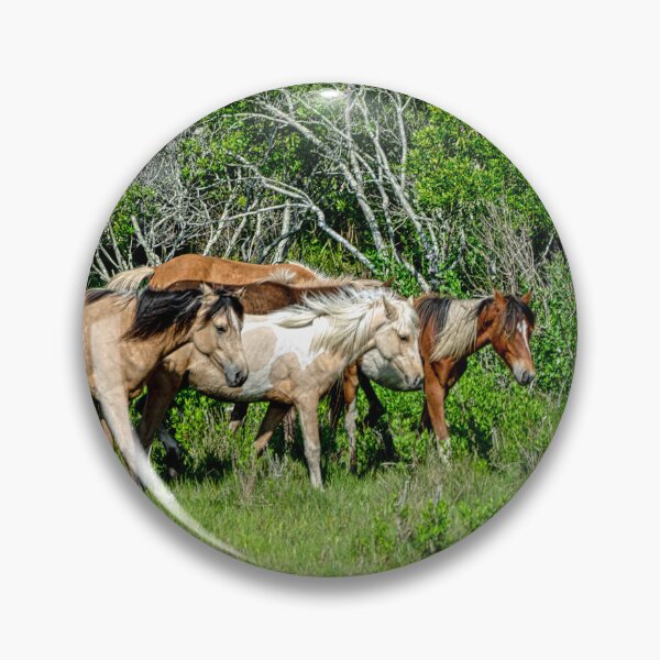 Item preview, Wild on Chincoteague designed and sold by ShorelineImages.