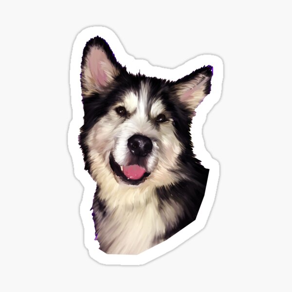 Angus Sticker