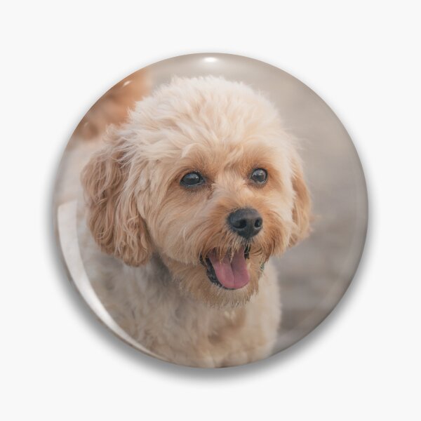 Item preview, Beach Peets designed and sold by eidetic-storage.