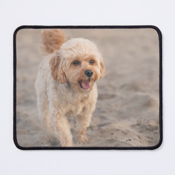 Item preview, Beach Peets designed and sold by eidetic-storage.