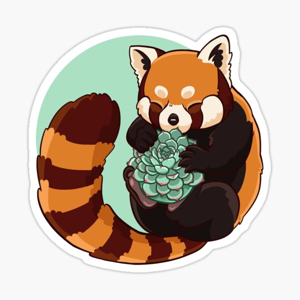 Red Panda with Succulent Sticker