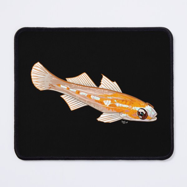 Item preview, Masked Goby designed and sold by Scrub and Sea.