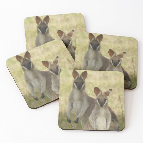 Item preview, Curious Wallabies designed and sold by The Georgia Nomad.