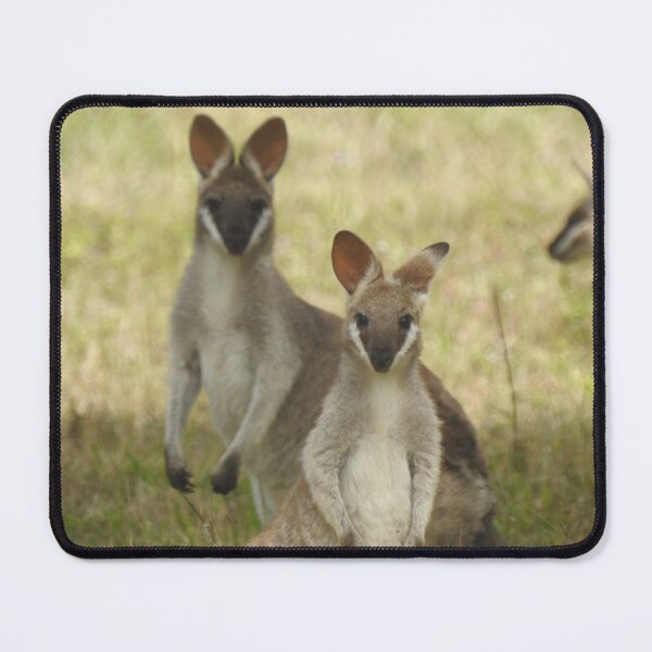 Item preview, Curious Wallabies designed and sold by The Georgia Nomad.