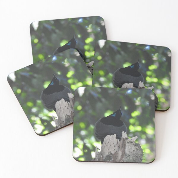 Item preview, Victoria's Riflebird - Bird of Paradise designed and sold by The Georgia Nomad.