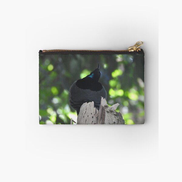 Item preview, Victoria's Riflebird - Bird of Paradise designed and sold by The Georgia Nomad.