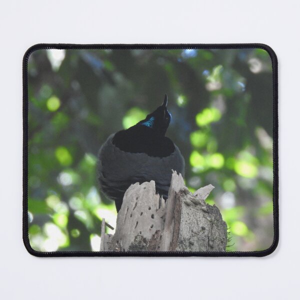 Item preview, Victoria's Riflebird - Bird of Paradise designed and sold by The Georgia Nomad.