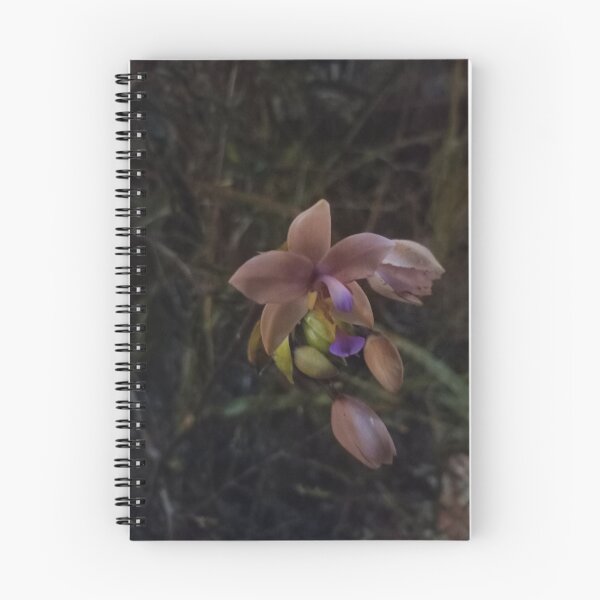 Item preview, Wild orchid of Kanaky designed and sold by NeufHuitSix WF.
