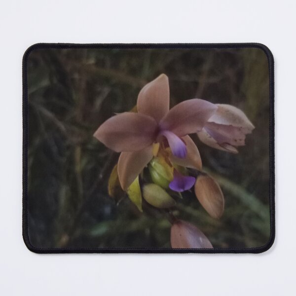 Item preview, Wild orchid of Kanaky designed and sold by NeufHuitSix WF.