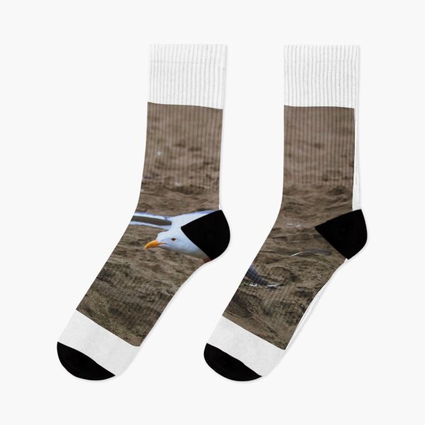 Item preview, Seagull flying on the beach designed and sold by Phakade's Photos.