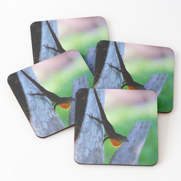 Item preview, An anole lizard on a tree at the park  designed and sold by Phakade's Photos.