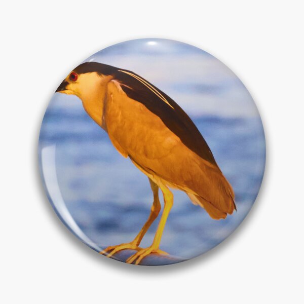 Item preview, Beautiful view of a black crowned night heron designed and sold by Phakade's Photos.