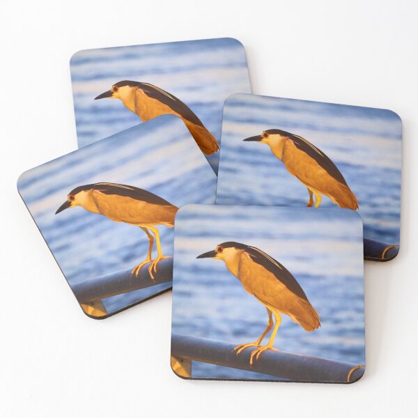 Item preview, Beautiful view of a black crowned night heron designed and sold by Phakade's Photos.