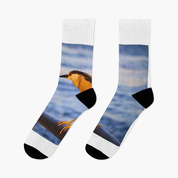 Item preview, Beautiful view of a black crowned night heron designed and sold by Phakade's Photos.