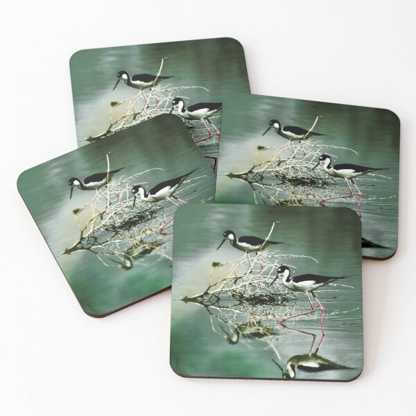 Item preview, Black necked stilts designed and sold by Jon Jeffery Photos.