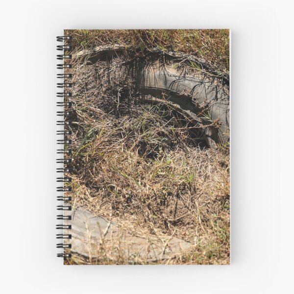 Item preview, Dont Dump your crap !! designed and sold by Nina  Matthews Photography.