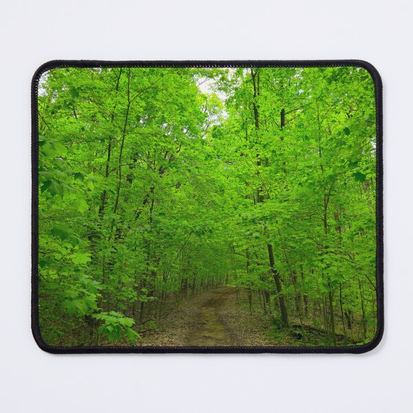 Item preview, Forest Trail designed and sold by bjtomiko.