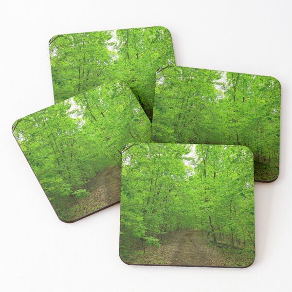 Item preview, Forest Trail designed and sold by bjtomiko.