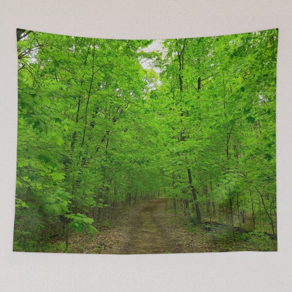 Item preview, Forest Trail designed and sold by bjtomiko.