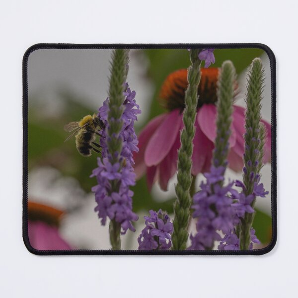 Item preview, Bee and Hoary Vervain designed and sold by Mass Monumentalist.