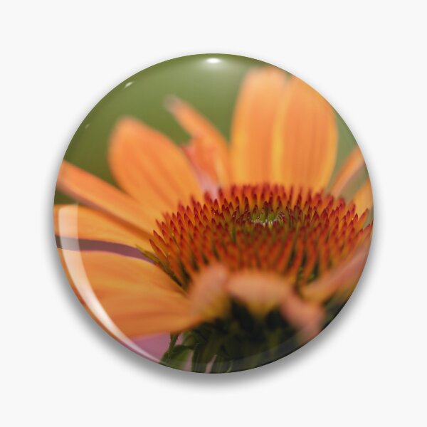 Item preview, Echinacea, orange designed and sold by Mass Monumentalist.