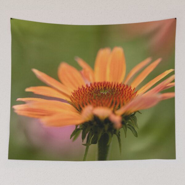 Item preview, Echinacea, orange designed and sold by Mass Monumentalist.