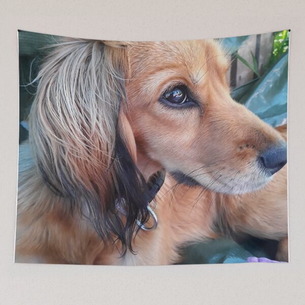 Item preview, Brown dog designed and sold by Eleonora Tschudin.