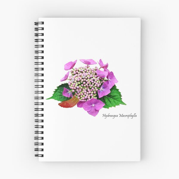 Item preview, Hydrangea Macrophylla designed and sold by Frank Irwin.
