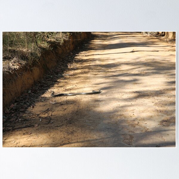 Item preview, Australia is not Australia with a snake  designed and sold by Nina  Matthews Photography.