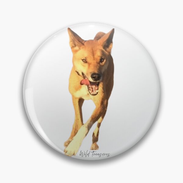 Item preview, Koa Dingo Running Free designed and sold by WildTreasures33.
