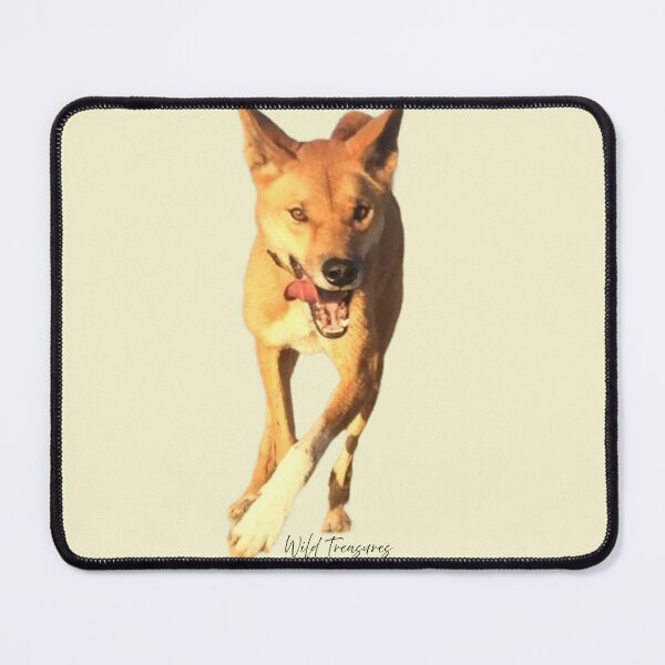 Item preview, Koa Dingo Running Free designed and sold by WildTreasures33.