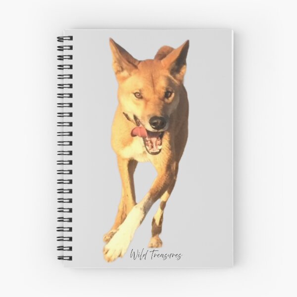 Item preview, Koa Dingo Running Free designed and sold by WildTreasures33.