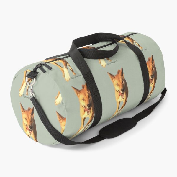 Item preview, Koa Dingo Running Free designed and sold by WildTreasures33.