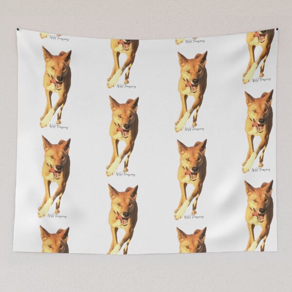 Item preview, Koa Dingo Running Free designed and sold by WildTreasures33.