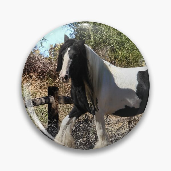 Item preview, Gypsy Vanner Horse  1 designed and sold by heatherfriedman.