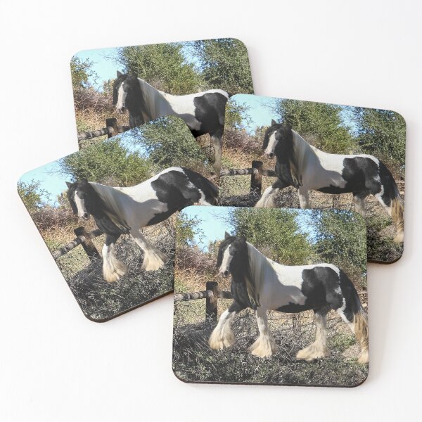 Item preview, Gypsy Vanner Horse  1 designed and sold by heatherfriedman.