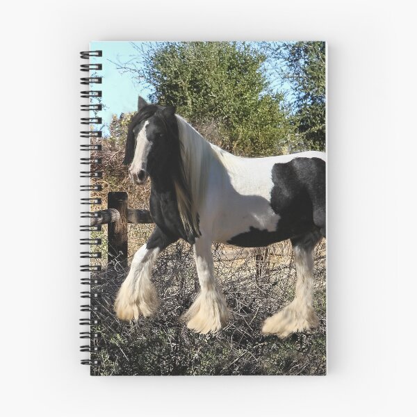 Item preview, Gypsy Vanner Horse  1 designed and sold by heatherfriedman.
